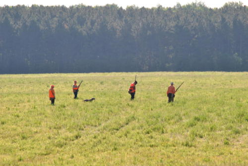 NAVHDA June 2022 test days 017